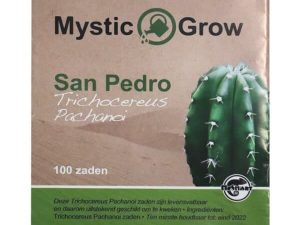 san pedro pachamoi 1 600x600 1 Kopen? | Zeer scherpe prijzen | ABCParty