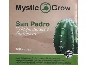 san pedro pachamoi 1 600x600 1 Kopen? | Zeer scherpe prijzen | ABCParty