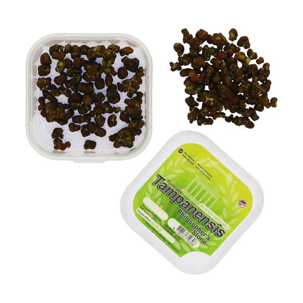Tampanesis 15 gram - Afbeelding 5