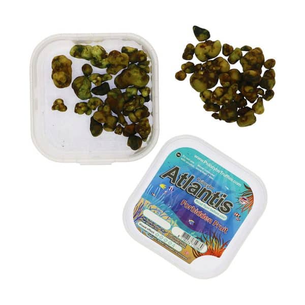 Atlantis 15 gram - Afbeelding 5