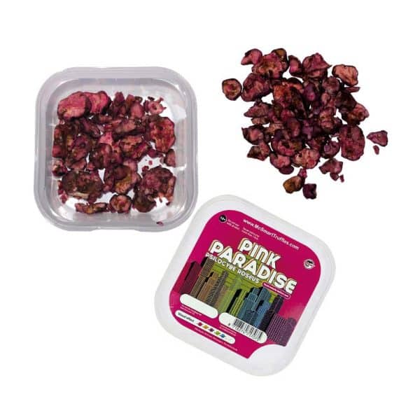 Pink paradise 15 gram - Afbeelding 4