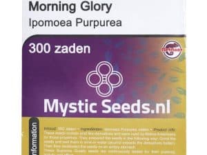 morning glory 1 Kopen? | Zeer scherpe prijzen | ABCParty