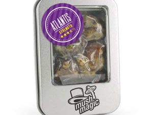 mush magic truffle atlantis 1 Kopen? | Zeer scherpe prijzen | ABCParty