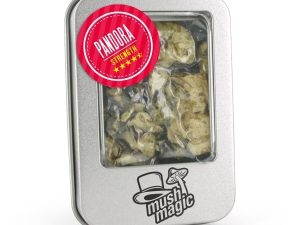 mush magic truffle pandora 1 Kopen? | Zeer scherpe prijzen | ABCParty