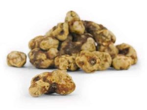 mush magic truffle tampanensis 2 Kopen? | Zeer scherpe prijzen | ABCParty
